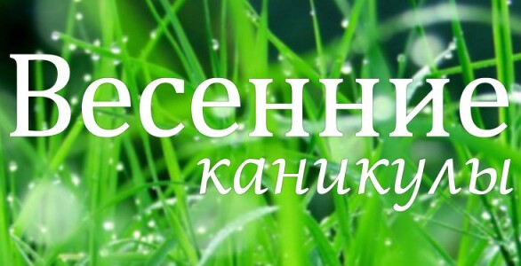 Безопасные каникулы Безопасные каникулы.